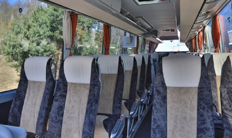 Germany: Coach charter in Mecklenburg-Vorpommern in Mecklenburg-Vorpommern and Neustrelitz