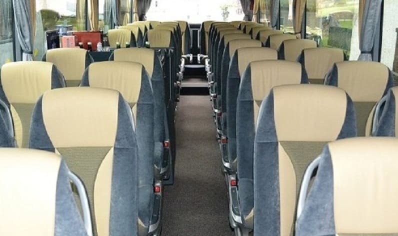 Germany: Coach operator in Mecklenburg-Vorpommern in Mecklenburg-Vorpommern and Schwerin