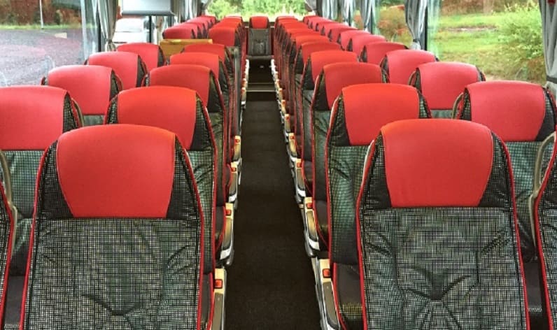 Denmark: Coaches rent in Region Zealand in Region Zealand and Slagelse